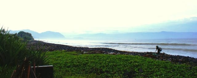 Spot de surf Quicksilver, Quicksilver