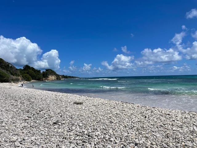 Pico de surf Plage de Gros Sable, Guadeloupe, França