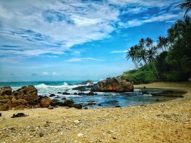 Spot de surf Jungle Beach Surf Spot, Jungle Beach Surf Spot