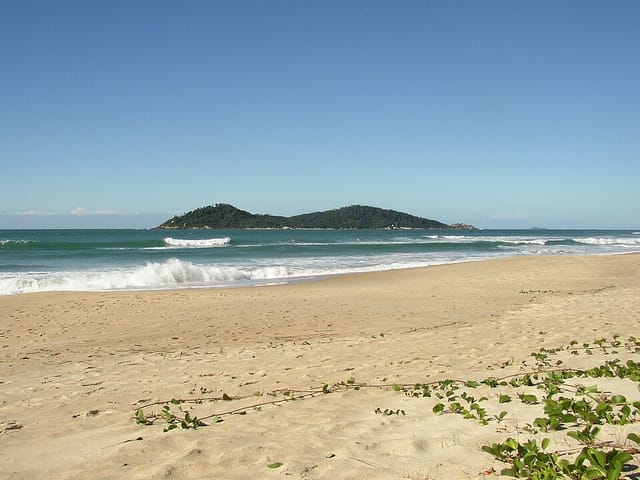 Campeche surf break, Santa Catarina, Brazil