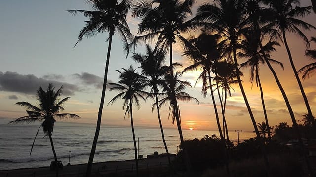 Spot de surf Wellamadama Surf Spot, Wellamadama Surf Spot