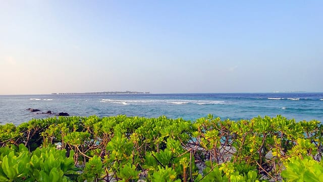 Surfing Point surf break, Surfing Point