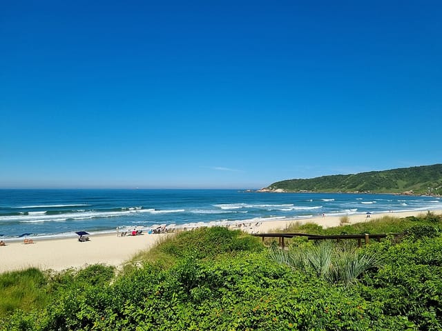 Pico de surf Praia do Rosa, Santa Catarina, Brasil
