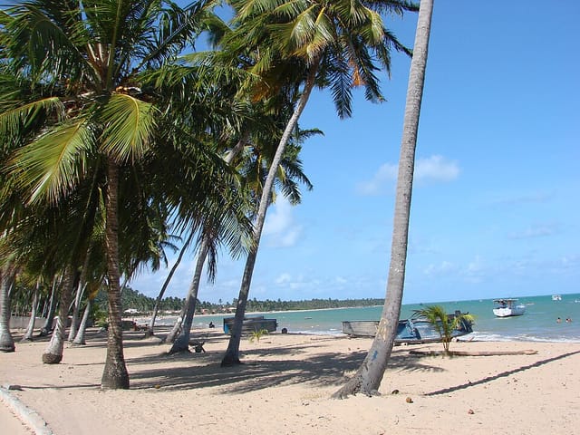 Pico de surf Japaratinga, Alagoas, Brasil